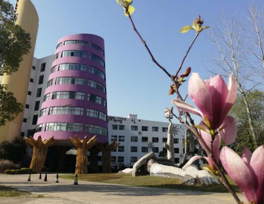 中職高職學校 中職高職學校