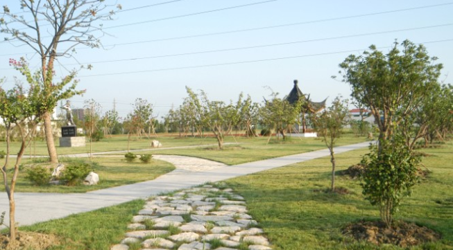 中職高職學校 中職高職學校