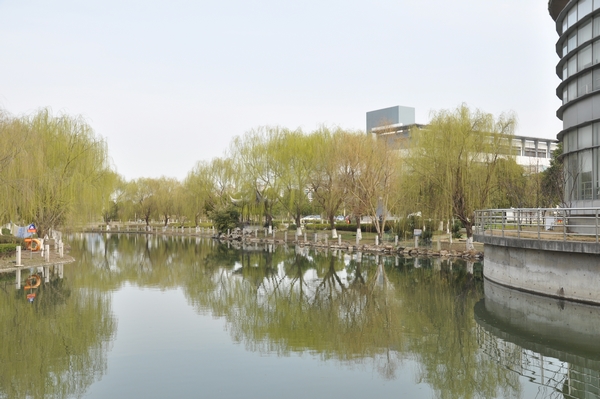 中職高職學校 中職高職學校